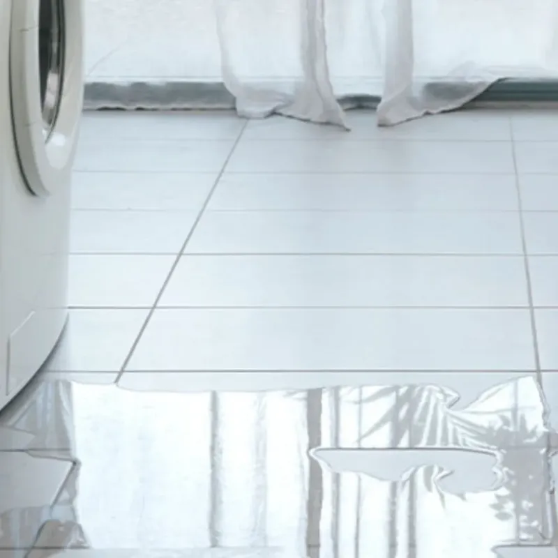 Appliance Leak Cleanup in Black Creek, WI